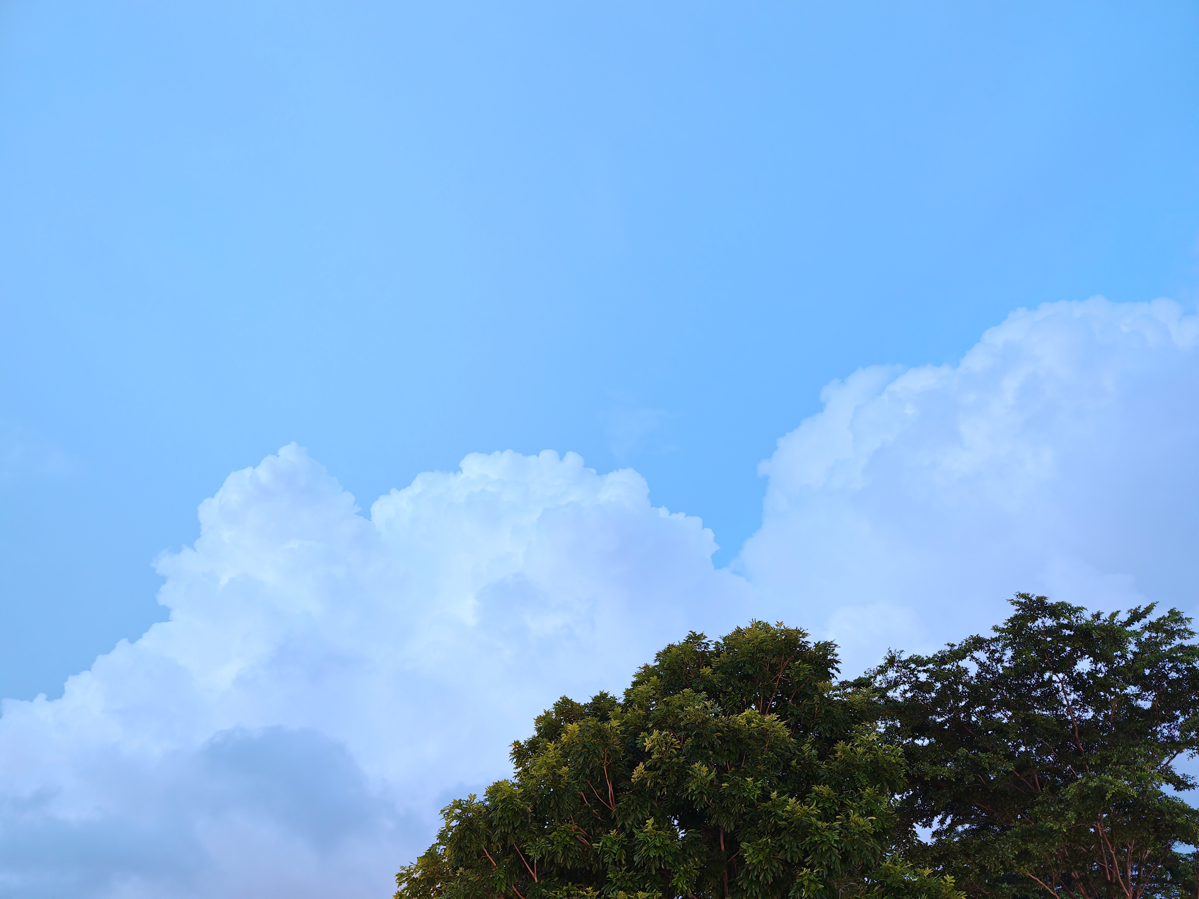 Cloud