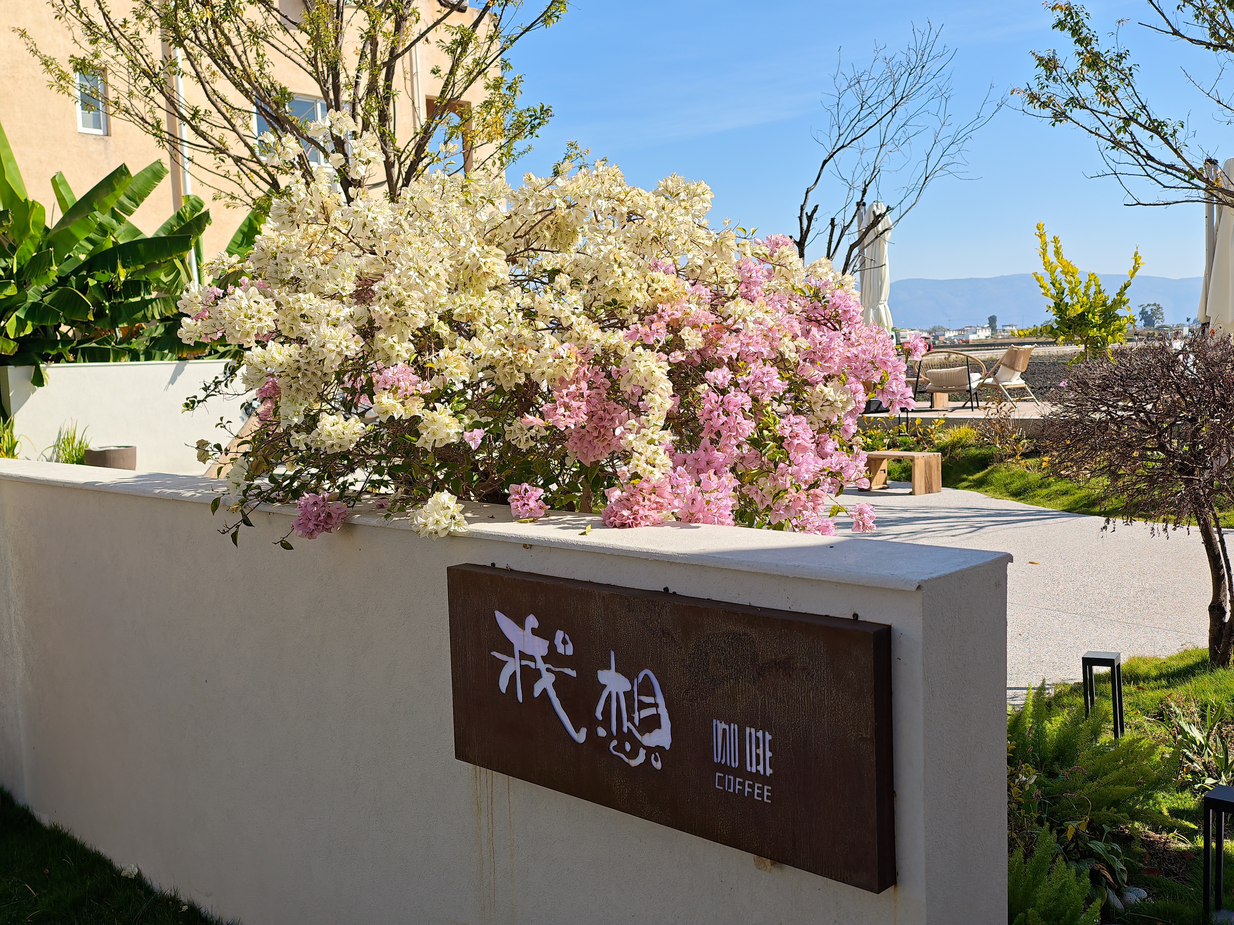 In Dali